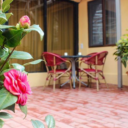 Lasha Apartment 第比利斯 外观 照片